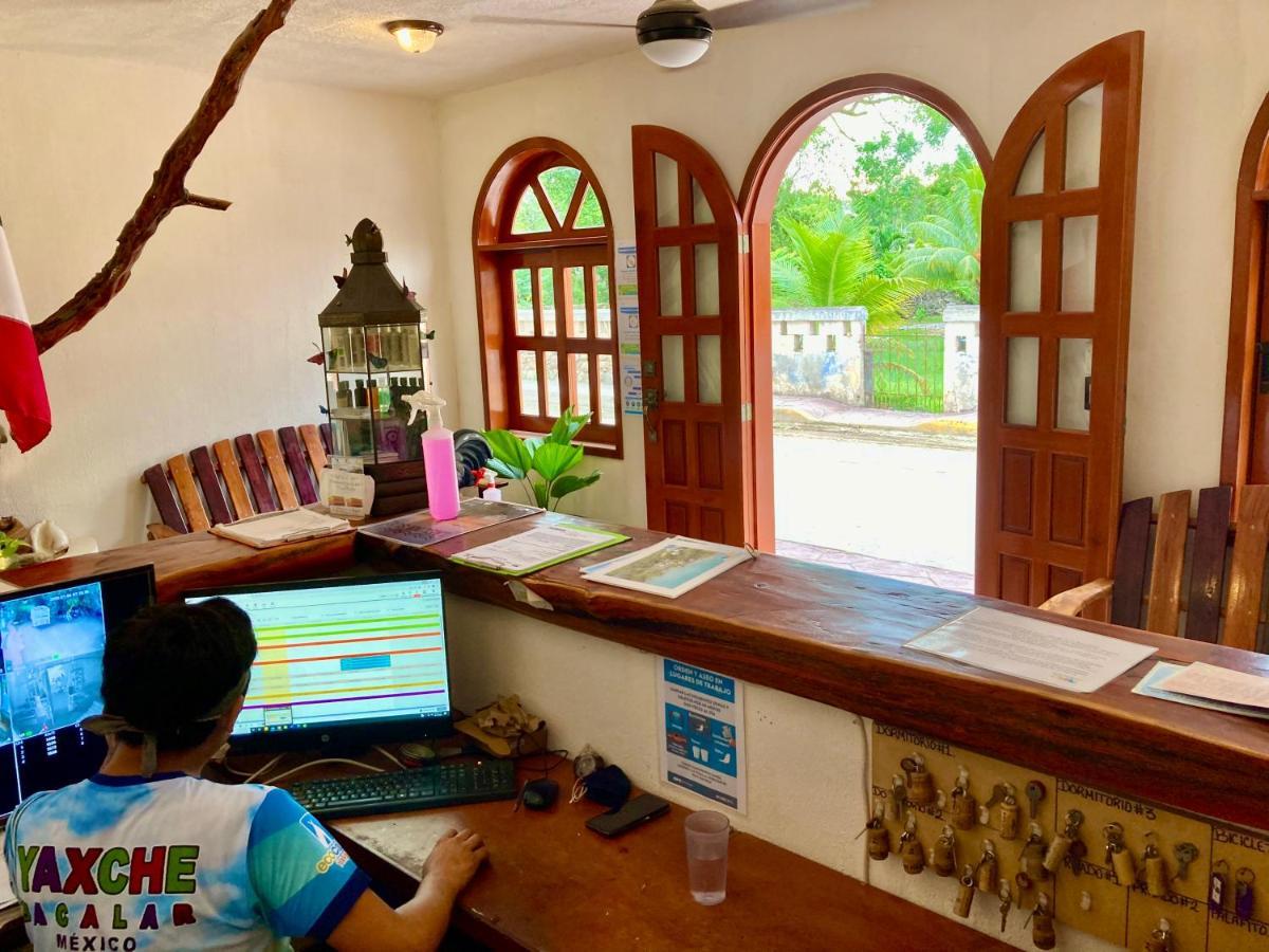 Albergue Yaxche Centro Y Bacalar